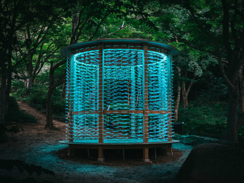 しらす、山に昇る|神戸六甲ミーツ・アート2025 beyond