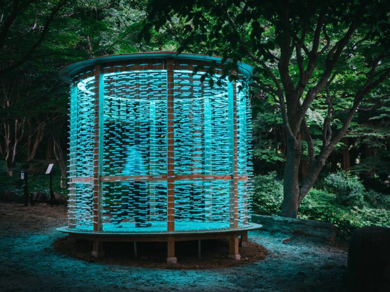 しらす、山に昇る|神戸六甲ミーツ・アート2025 beyond